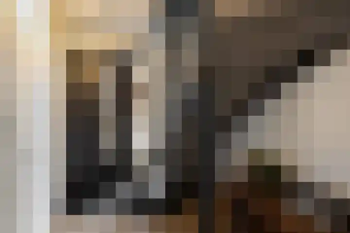 Wittenstein 5 Raalte thumbnail 23