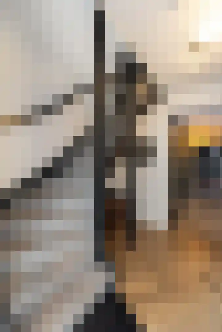 Wittenstein 5 Raalte thumbnail 24