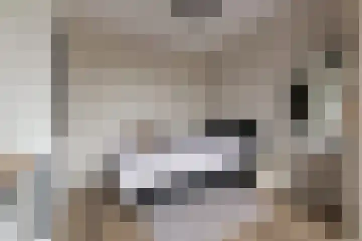 Wittenstein 5 Raalte thumbnail 27
