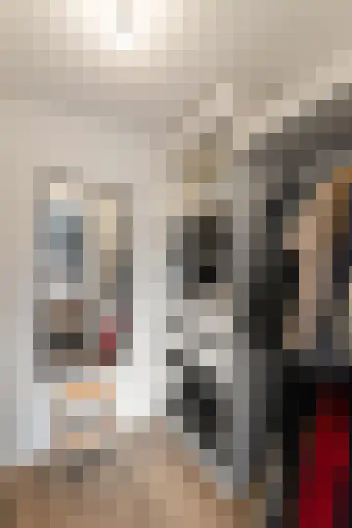 Wittenstein 5 Raalte thumbnail 31