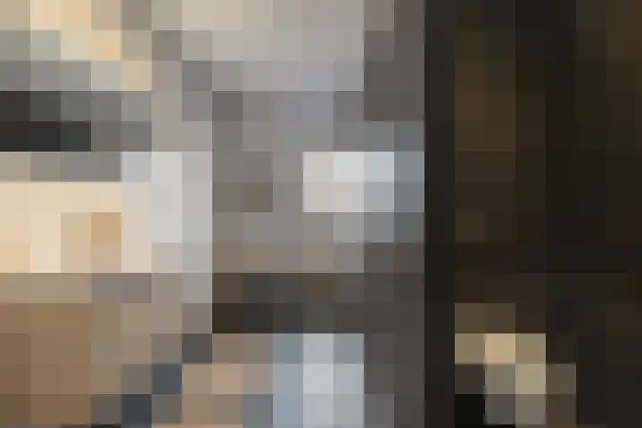 Wittenstein 5 Raalte thumbnail 35