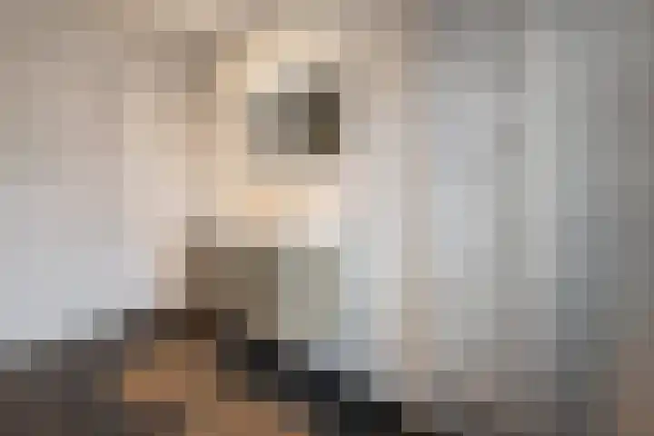Wittenstein 5 Raalte thumbnail 36