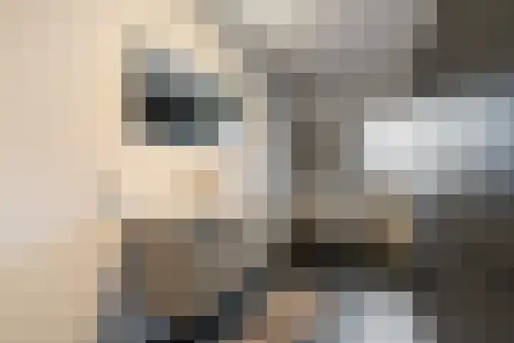 Wittenstein 5 Raalte thumbnail 37
