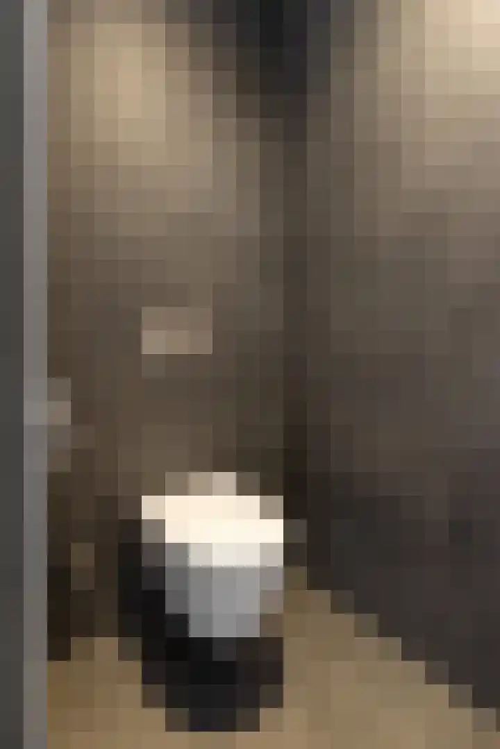 Wittenstein 5 Raalte thumbnail 38