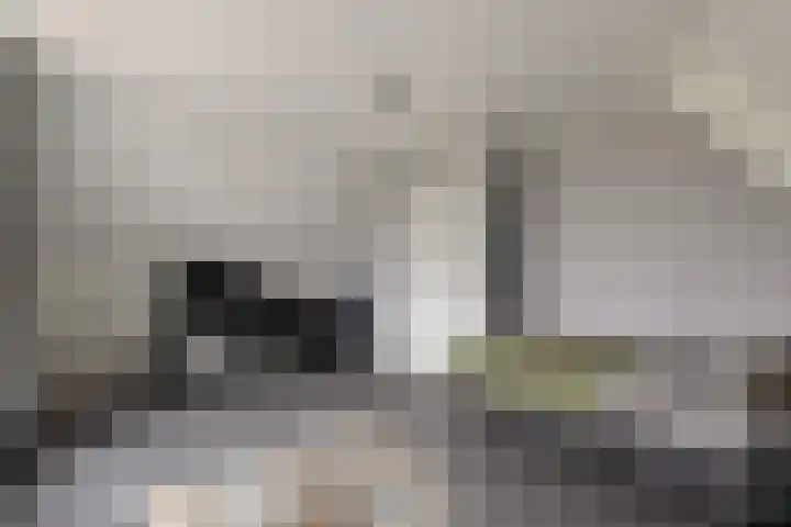 Wittenstein 5 Raalte thumbnail 39