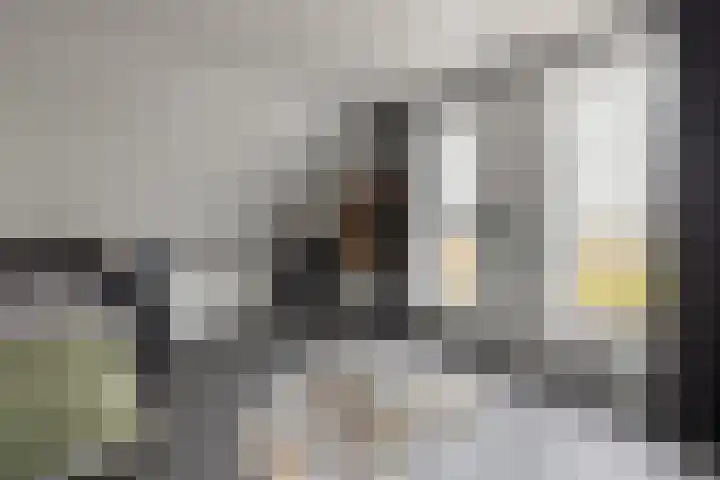 Wittenstein 5 Raalte thumbnail 41