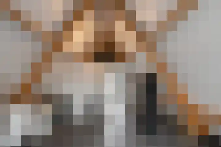 Wittenstein 5 Raalte thumbnail 43
