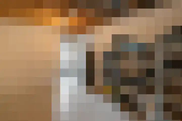 Wittenstein 5 Raalte thumbnail 46
