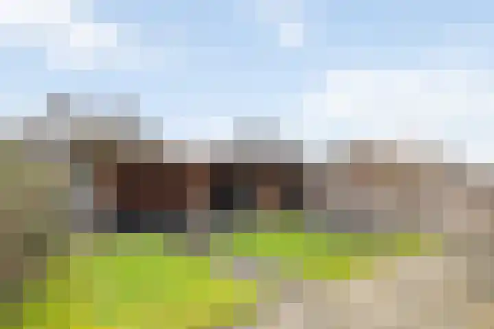 Wittenstein 5 Raalte thumbnail 48