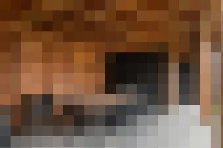 Wittenstein 5 Raalte thumbnail 52