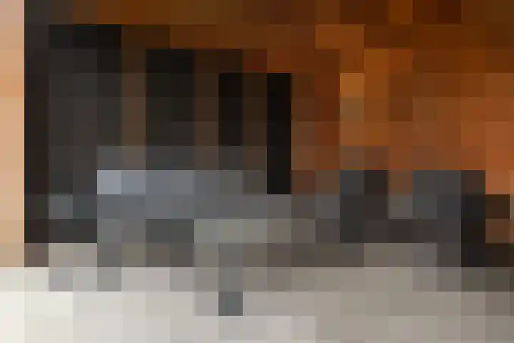 Wittenstein 5 Raalte thumbnail 53