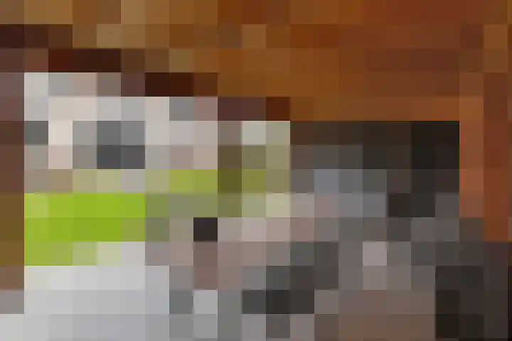 Wittenstein 5 Raalte thumbnail 54