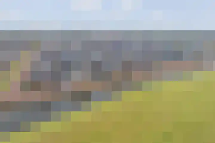 Wittenstein 5 Raalte thumbnail 58