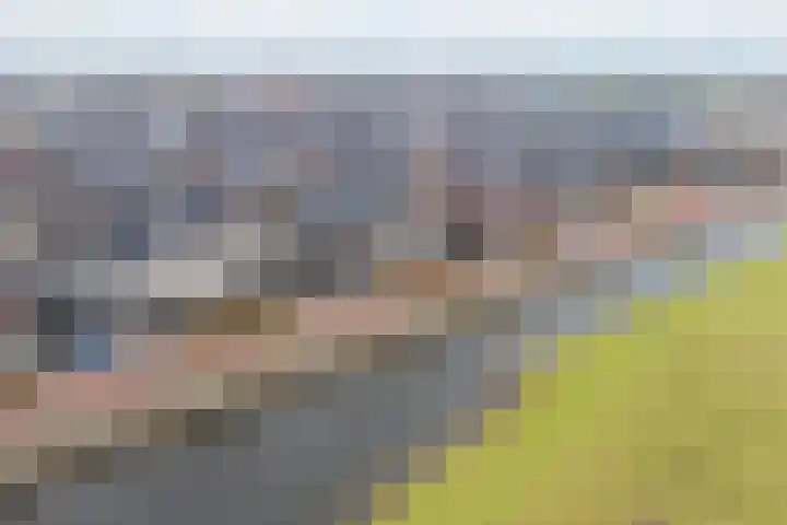 Wittenstein 5 Raalte thumbnail 59