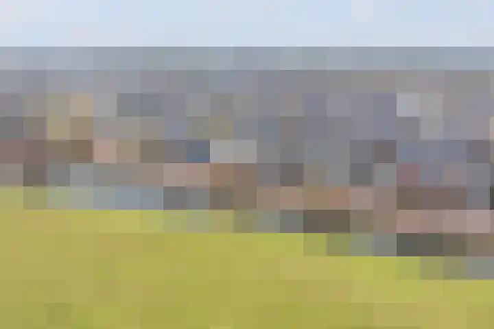 Wittenstein 5 Raalte thumbnail 60