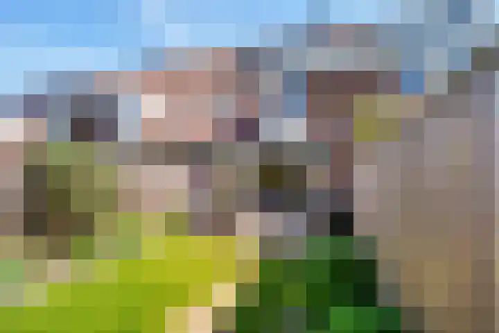 Wittenstein 66 Dordrecht thumbnail 37