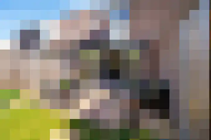 Wittenstein 66 Dordrecht thumbnail 38