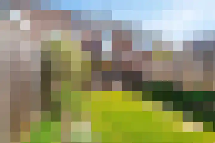 Wittenstein 66 Dordrecht thumbnail 40