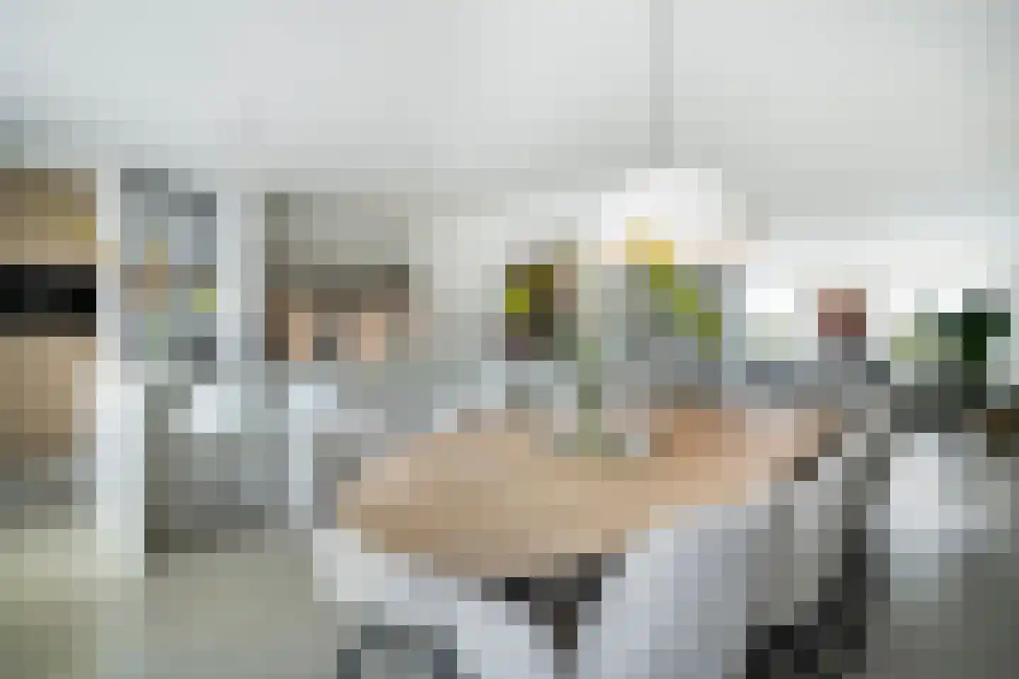Wittenstein 9 Raalte thumbnail 11