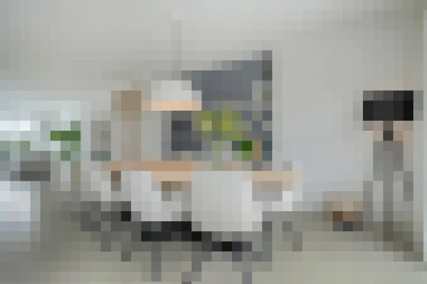 Wittenstein 9 Raalte thumbnail 12