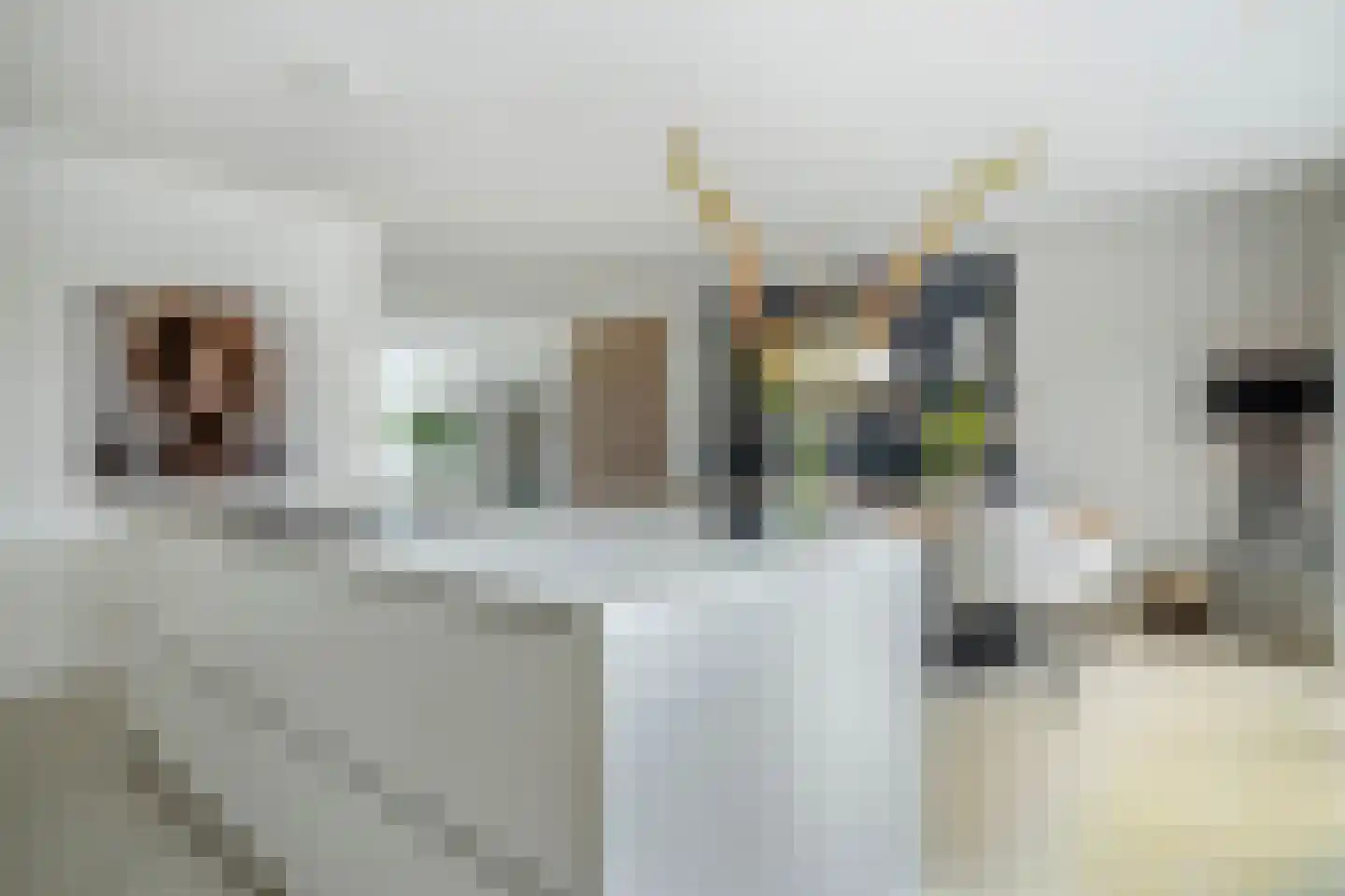 Wittenstein 9 Raalte thumbnail 17
