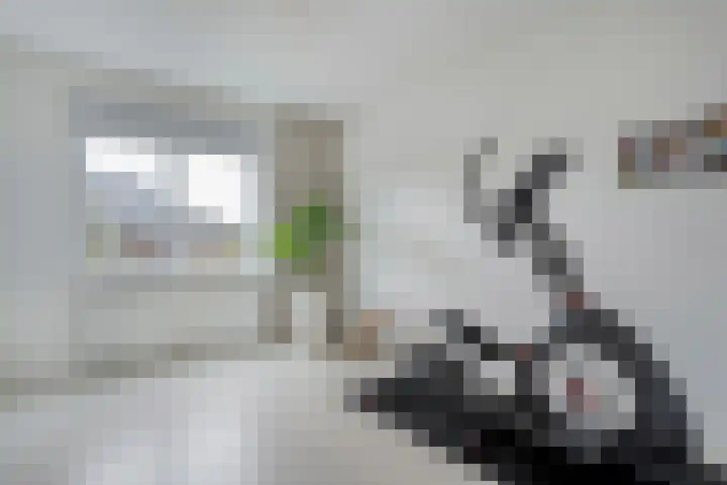 Wittenstein 9 Raalte thumbnail 33