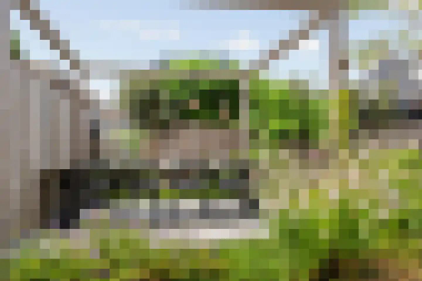 Wittenstein 9 Raalte thumbnail 56