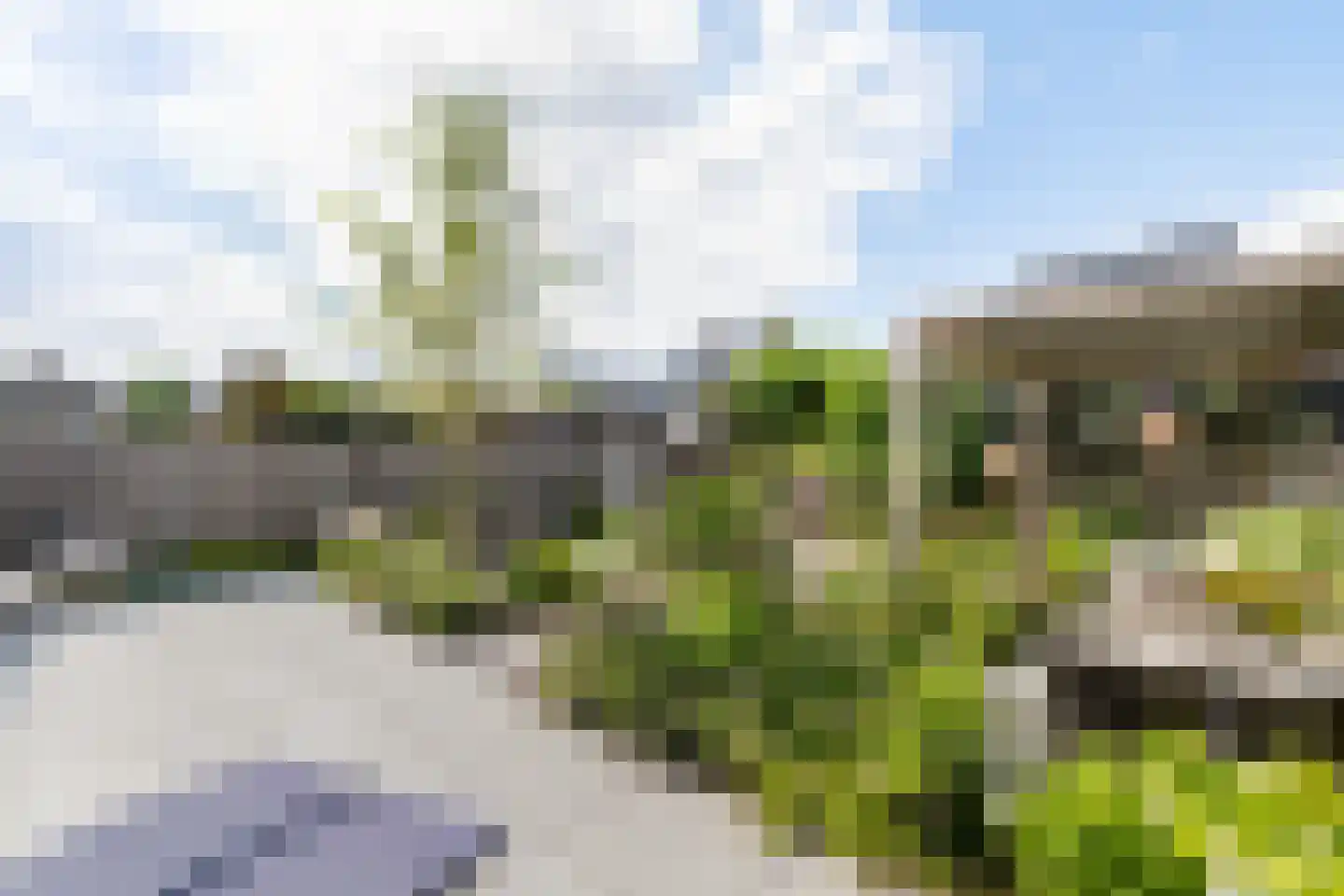 Wittenstein 9 Raalte thumbnail 61
