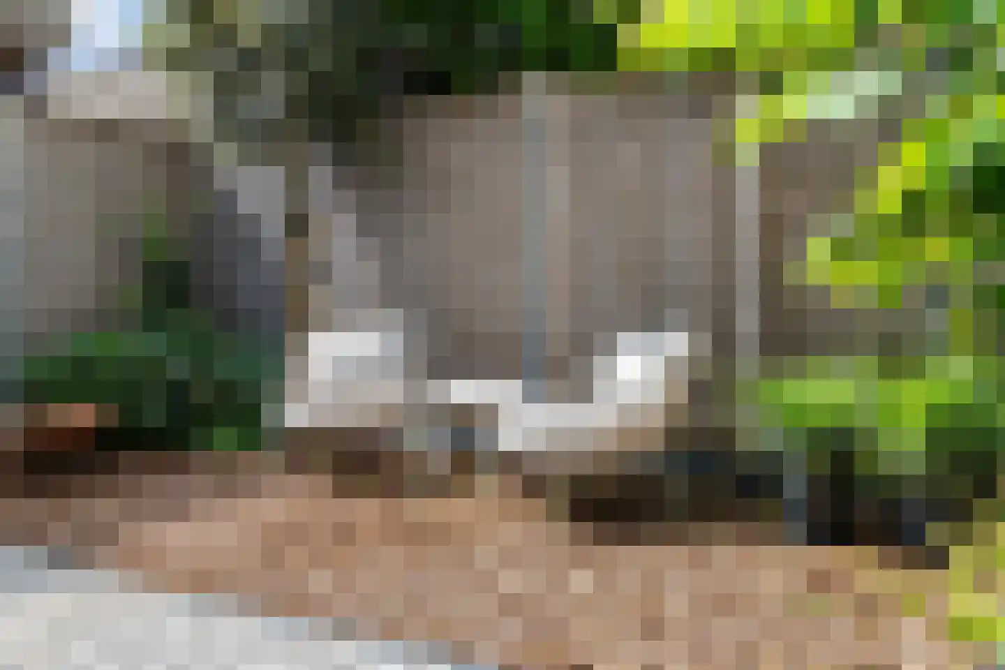 Wittenstein 9 Raalte thumbnail 62
