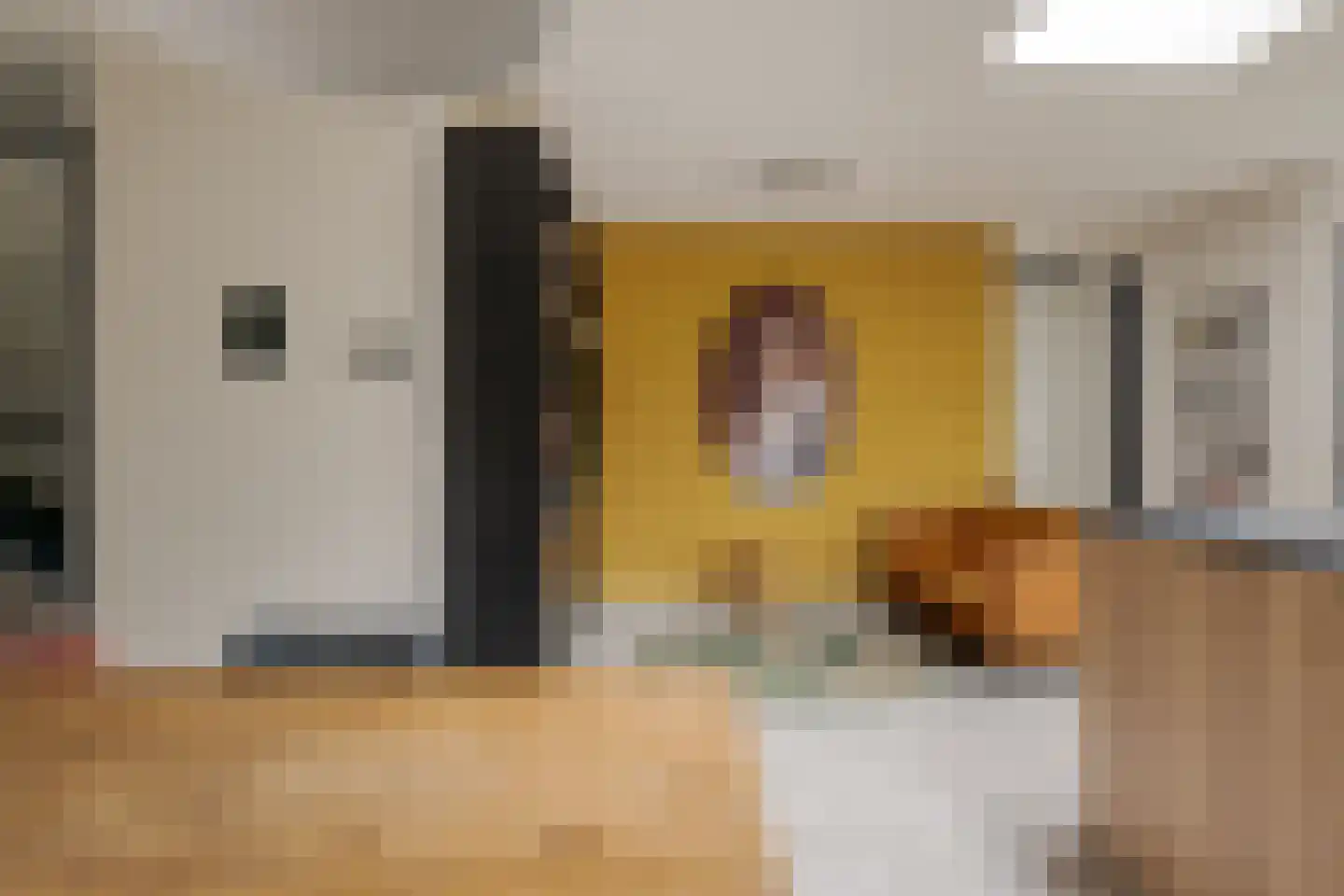 Wittensteinstraat 16 Zwolle thumbnail 18
