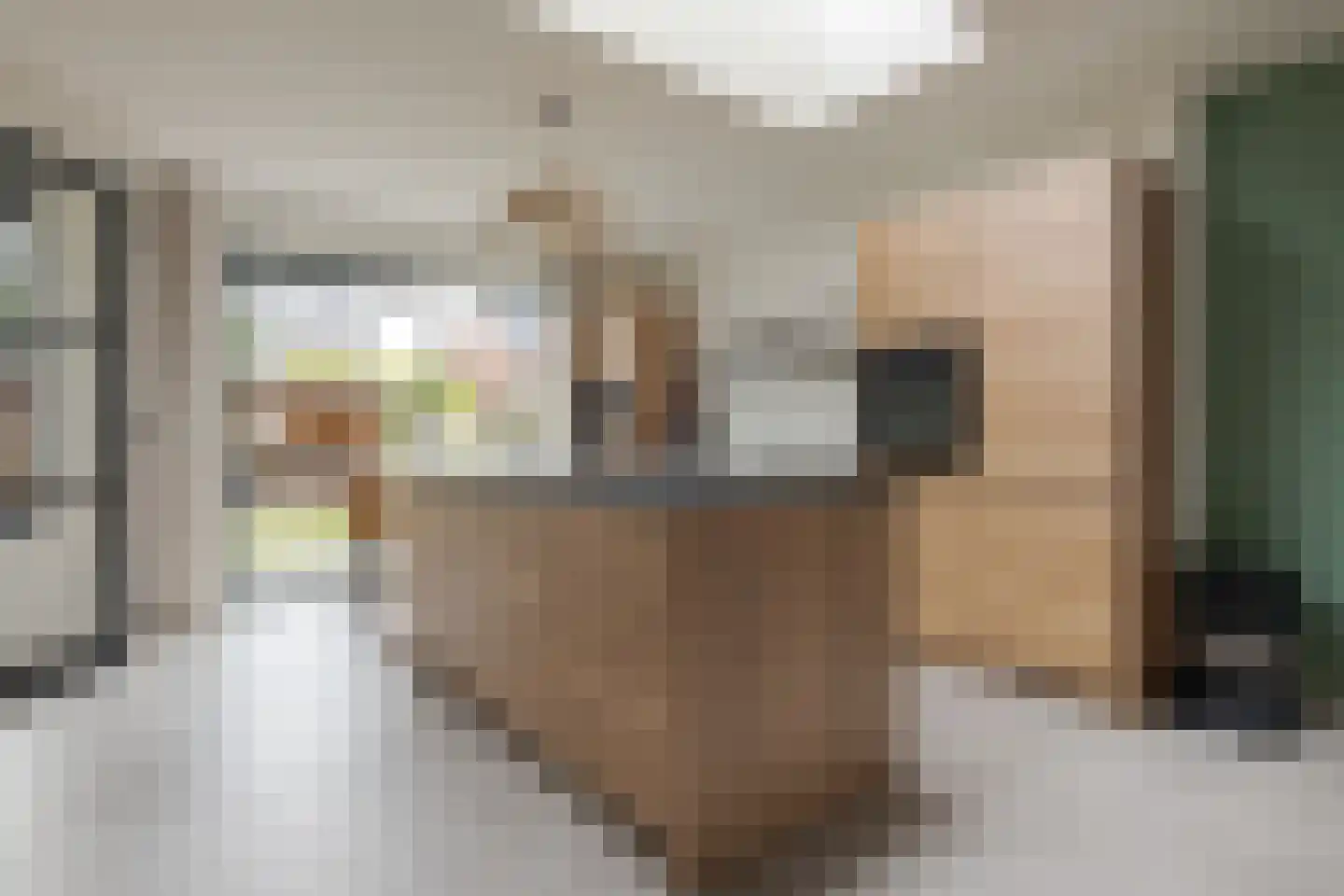 Wittensteinstraat 16 Zwolle thumbnail 21