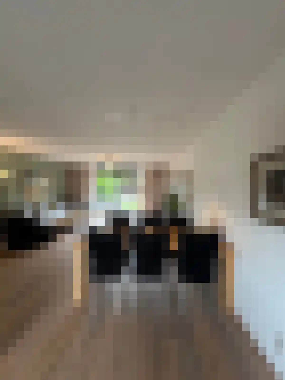 Wittensteinstraat 2 Zwolle thumbnail 5