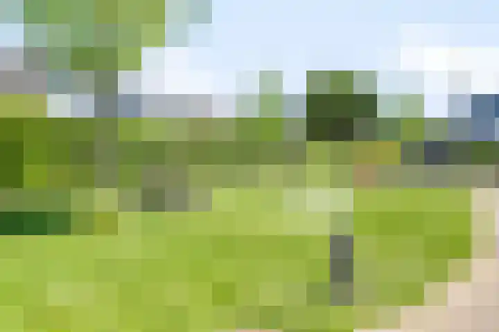 Wittensteyn 8 Hendrik-Ido-Ambacht thumbnail 37
