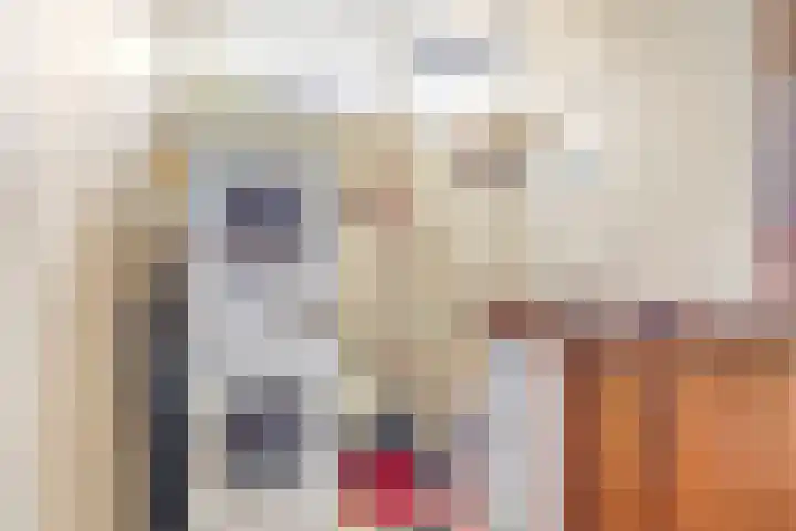 Wittensteyn 8 Hendrik-Ido-Ambacht thumbnail 7