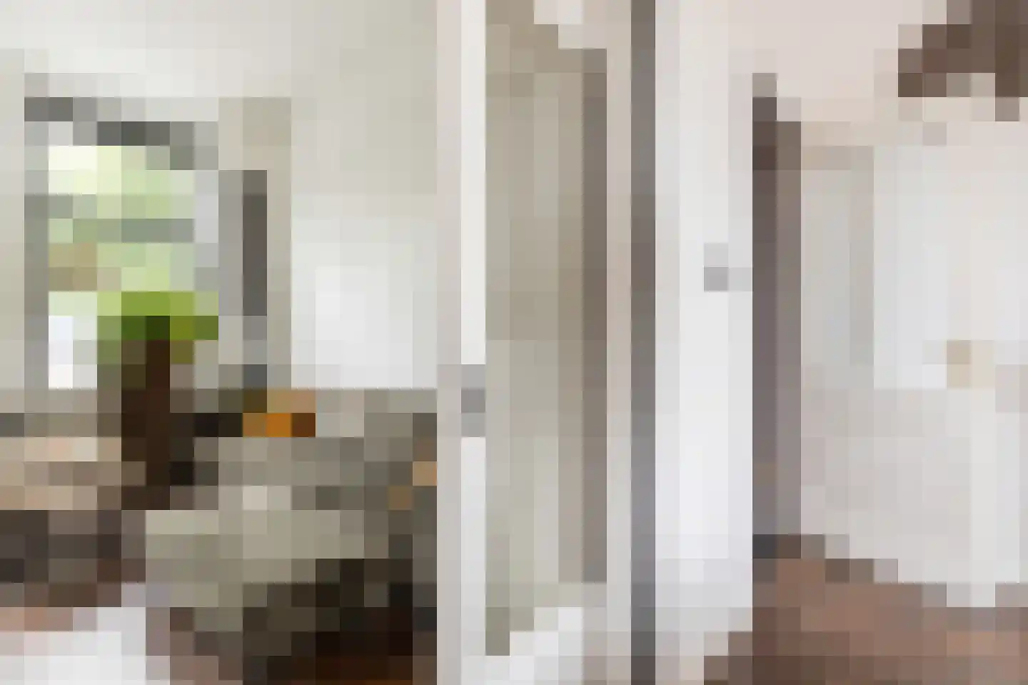 Witterstraat 30 Assen thumbnail 14