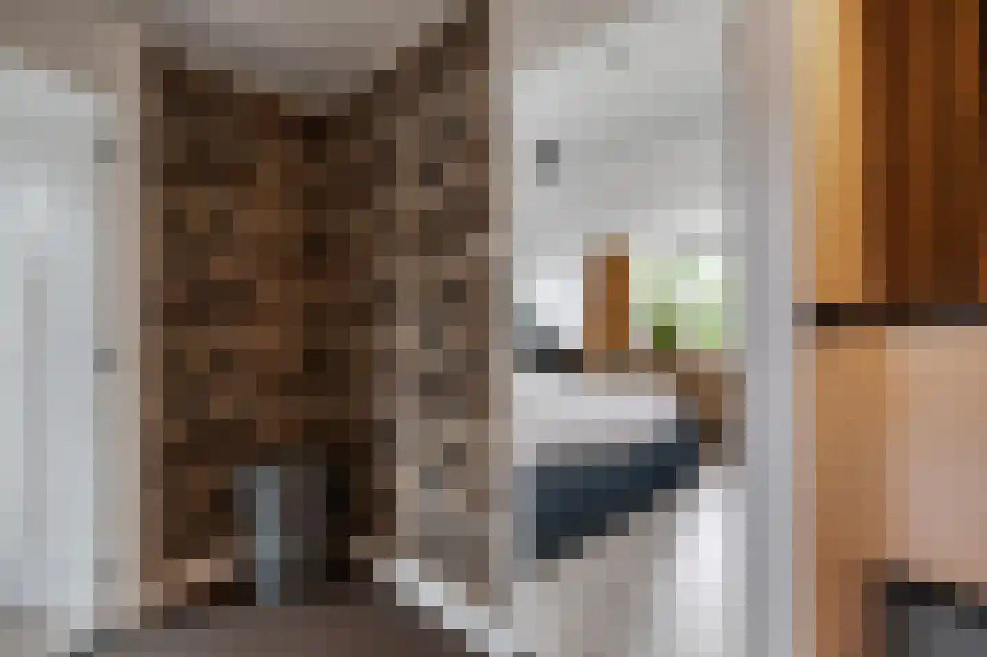 Witterstraat 30 Assen thumbnail 26
