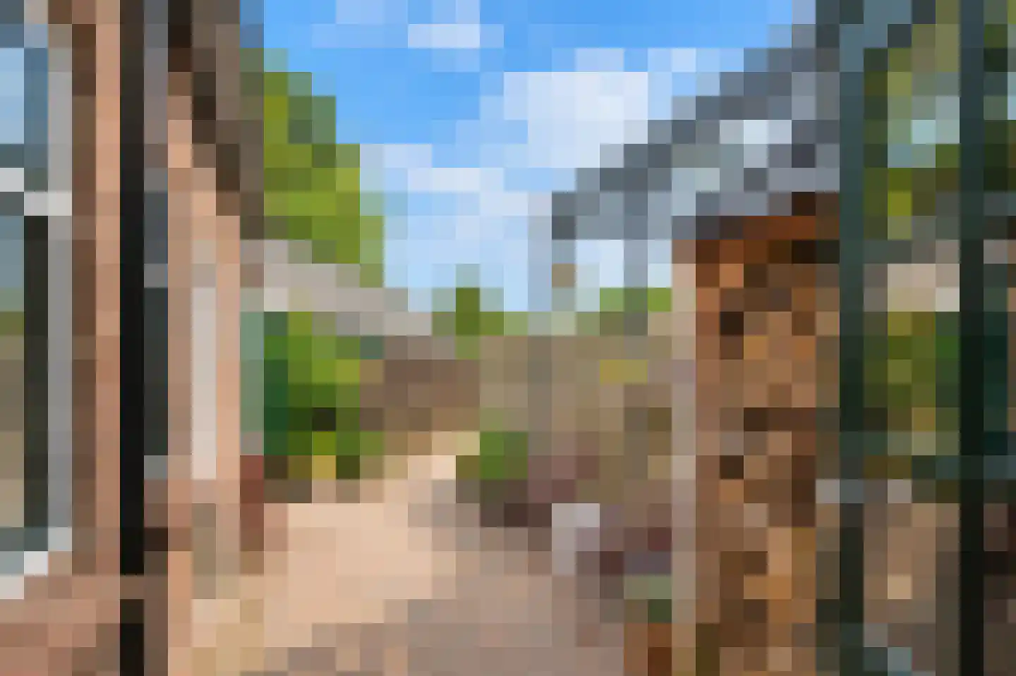 Witterstraat 30 Assen thumbnail 30