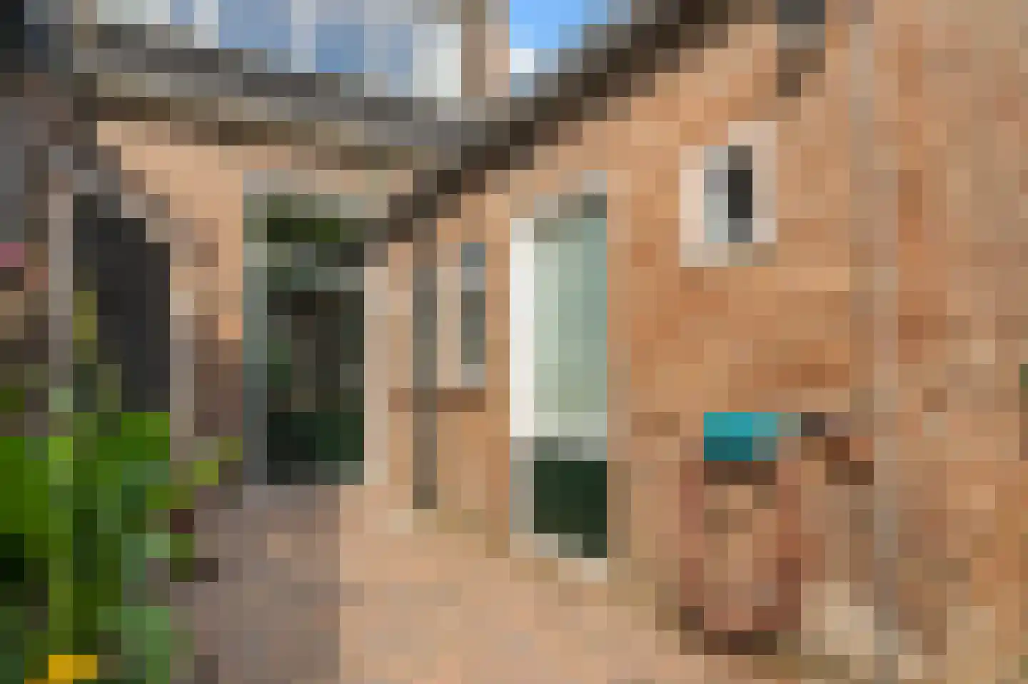 Witterstraat 30 Assen thumbnail 32