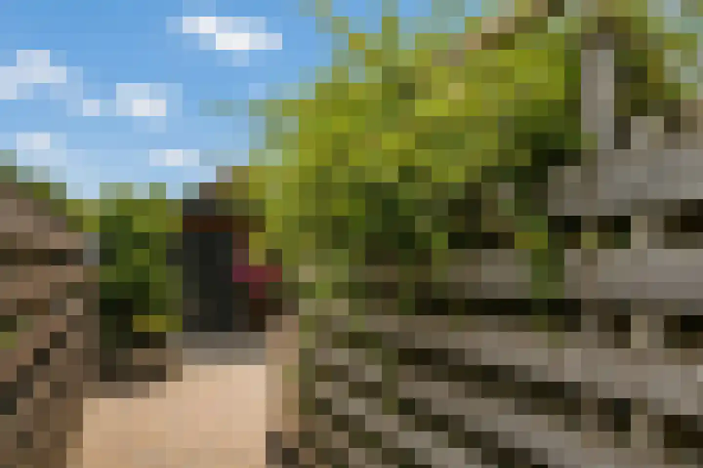 Witterstraat 30 Assen thumbnail 35