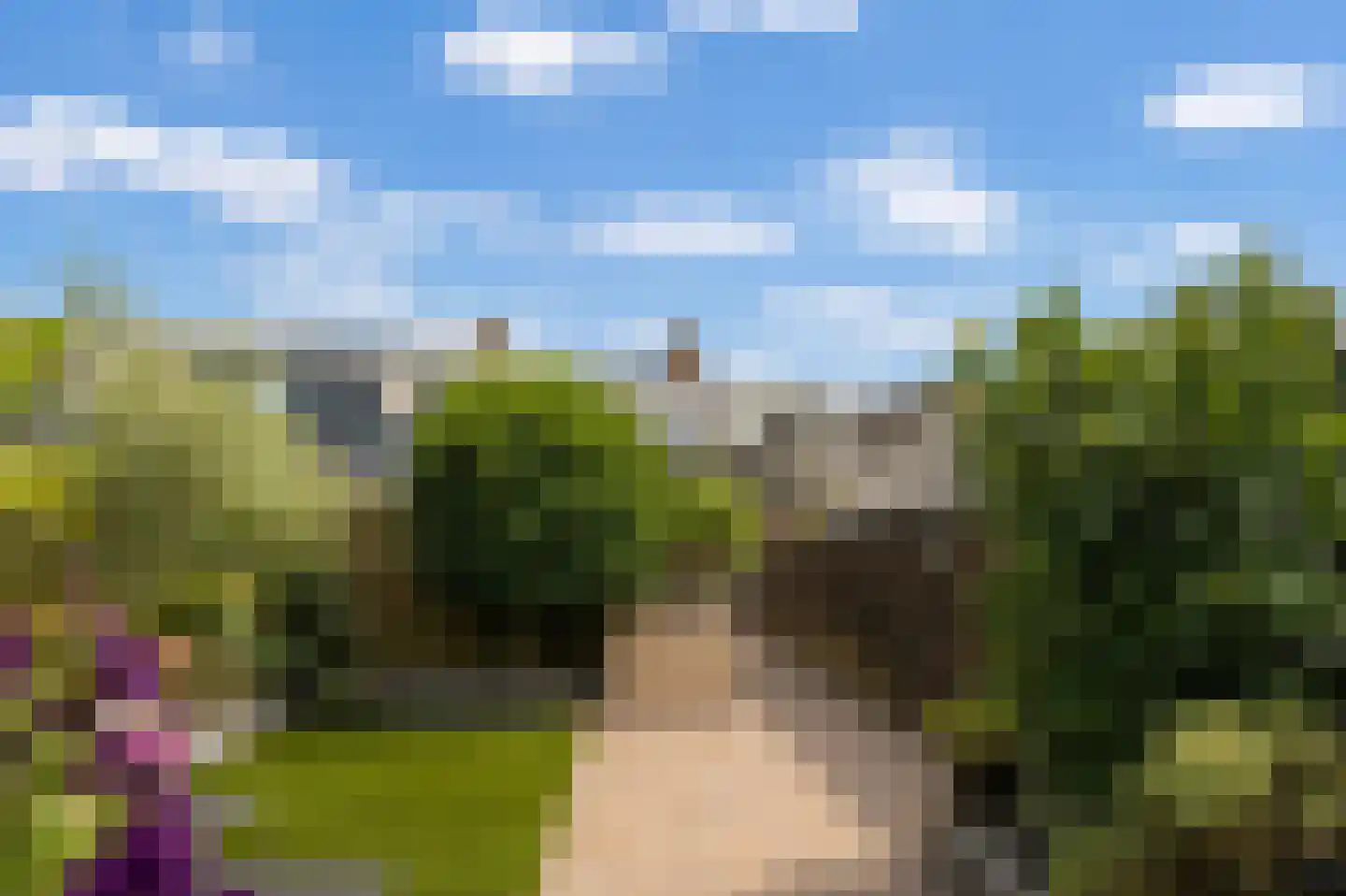 Witterstraat 30 Assen thumbnail 38