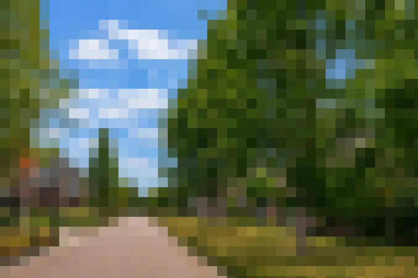 Witterstraat 30 Assen thumbnail 42