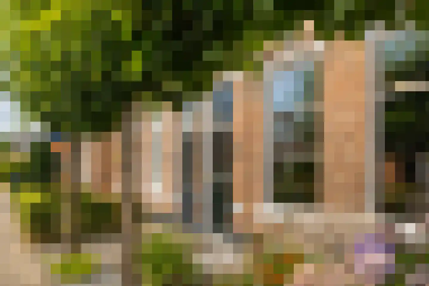 Witterstraat 30 Assen thumbnail 6
