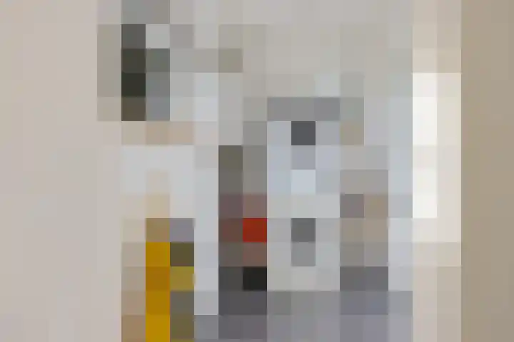 Witterstraat 58 Assen thumbnail 15