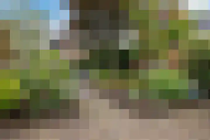Witterstraat 58 Assen thumbnail 35