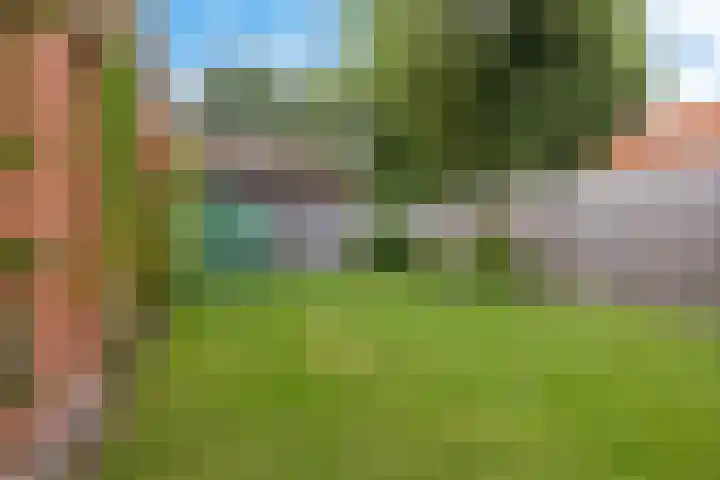 Witterstraat 58 Assen thumbnail 39