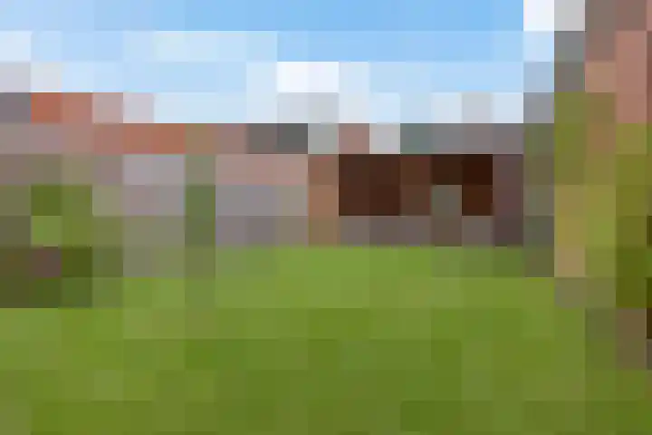 Witterstraat 58 Assen thumbnail 4