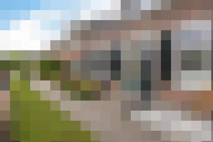 Witterstraat 58 Assen thumbnail 5