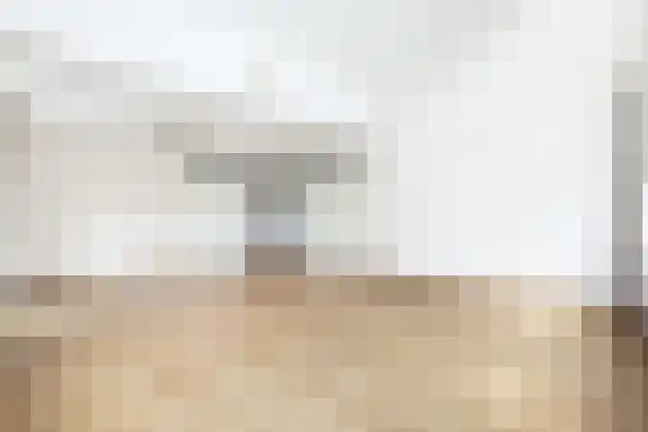 Wittert van Hooglandlaan 18 Hoogland thumbnail 10