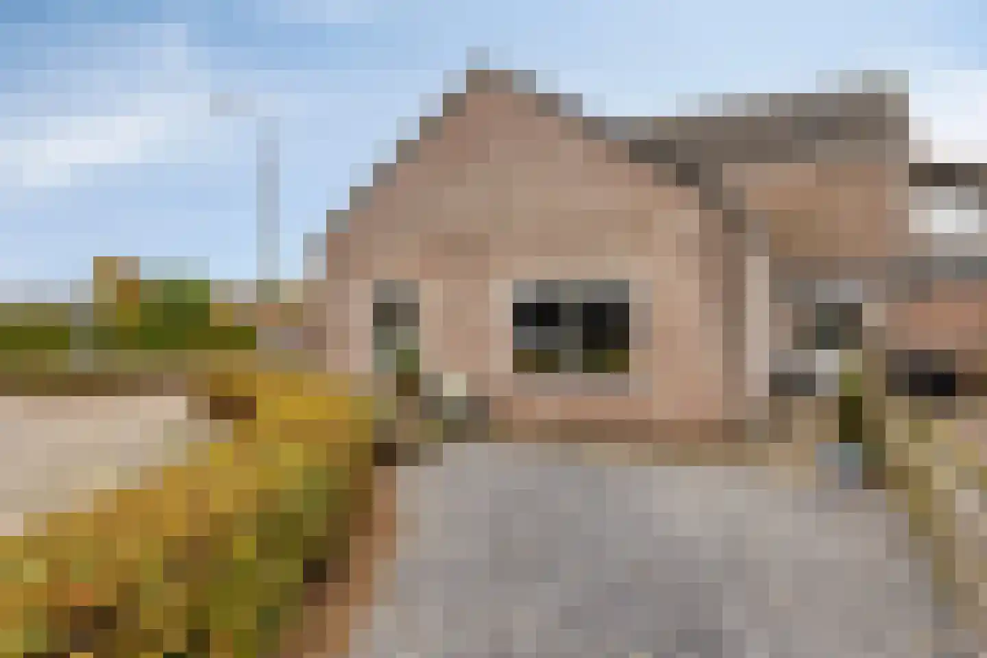 Witterweg 2 D Bovensmilde thumbnail 34