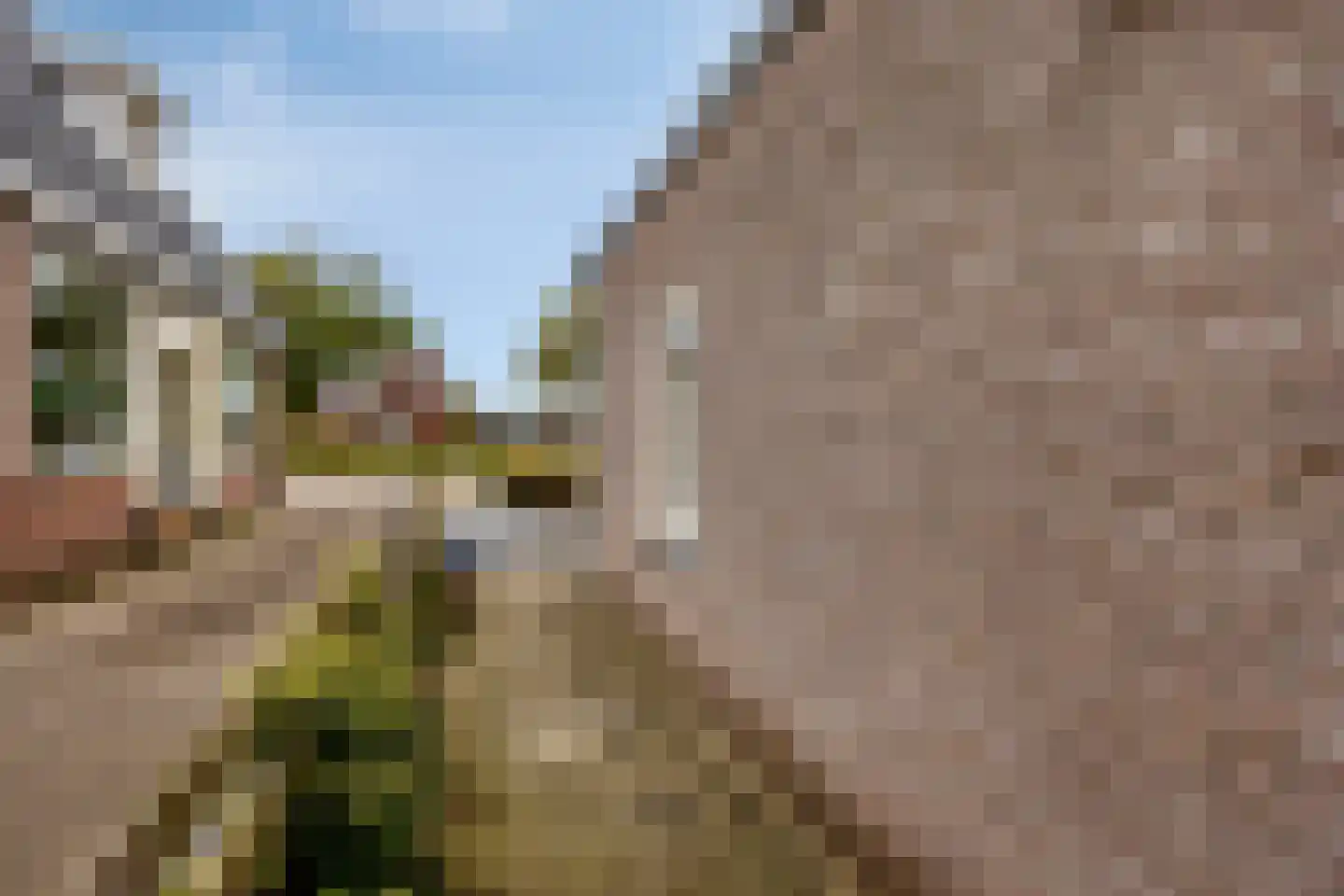 Witterweg 2 D Bovensmilde thumbnail 37
